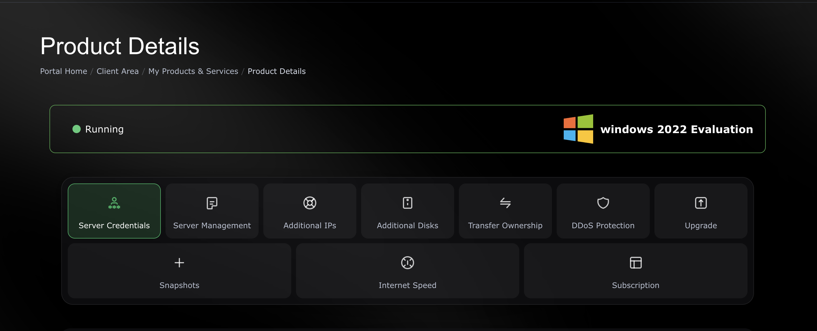 Protected Windows Server dashboard screenshot